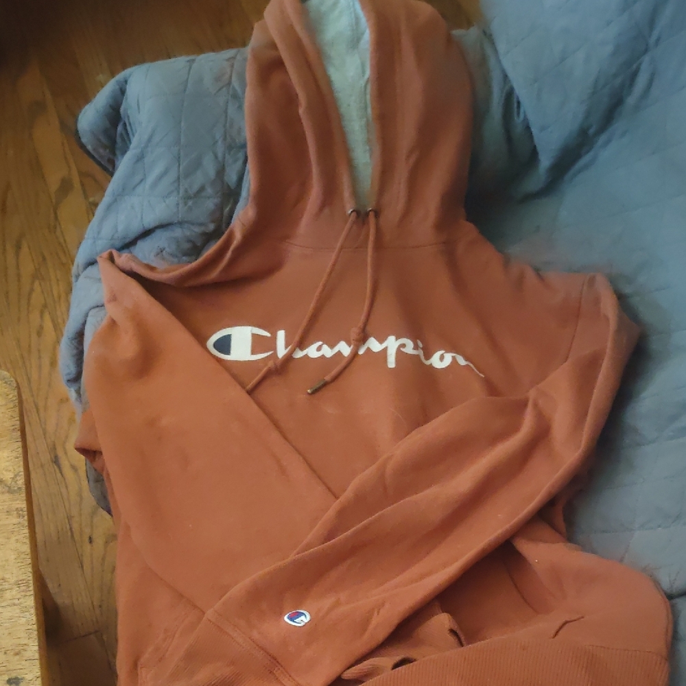Champion Burnt Orange Hoodie